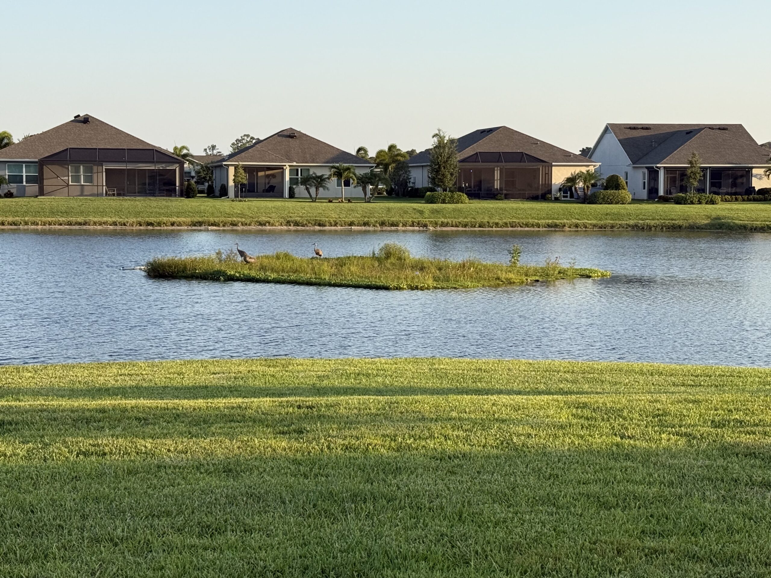 Green Stormwater Infrastructure: A Tool to Meet FDEP’s Nutrient Load Reduction Requirements