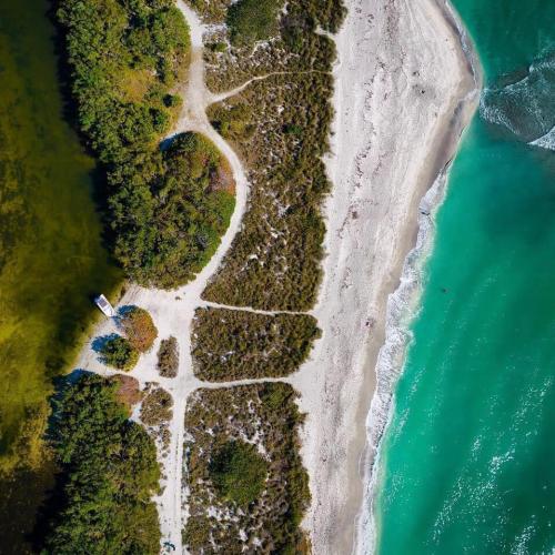 10-Seagrass-Survey-intracoastal-waterway-boat-gulf-of-mexico.jpg