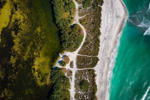 Seagrass Survey intracoastal waterway boat gulf of mexico